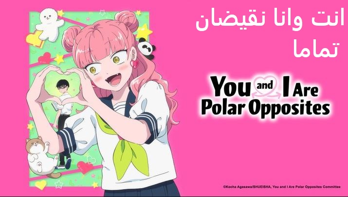 انمي انت وانا نقيضان تماما الحلقة 12 مدبلجة والاخيرة